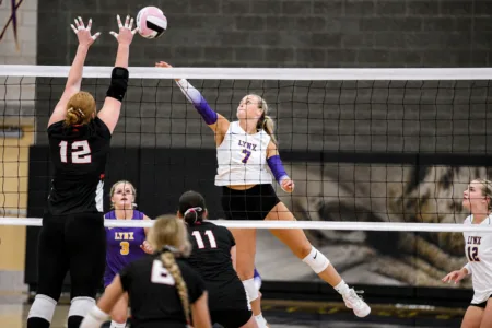 Lynx begin NCC play with four-set win